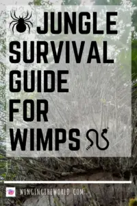 Jungle survival guide for wimps!