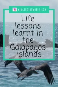 Life lessons learnt in the galapagos islands