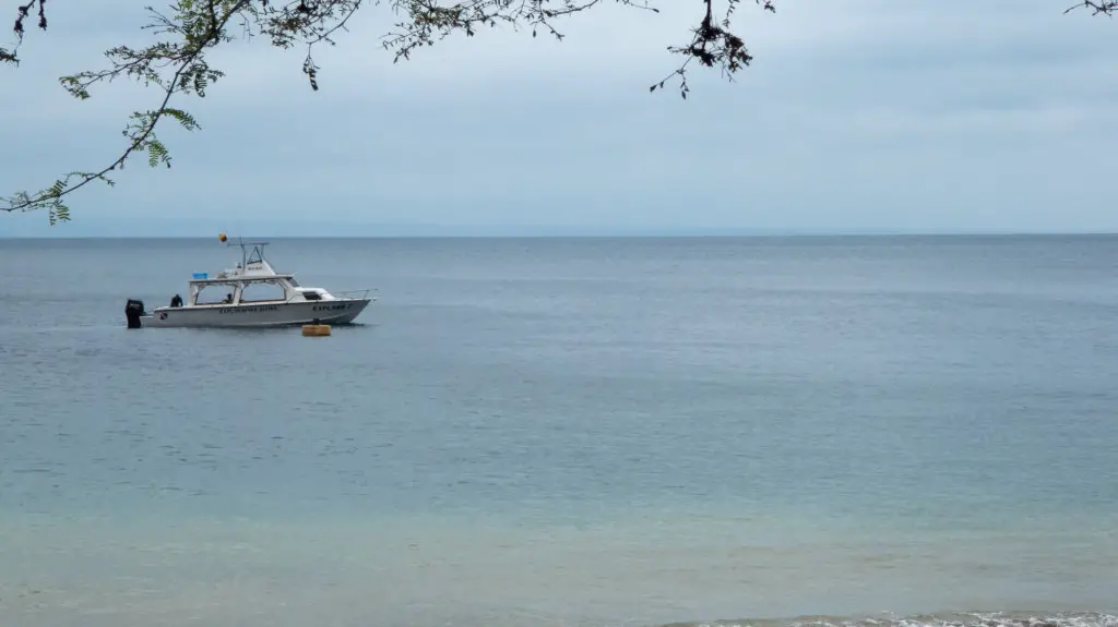 Boats going to the Poor Man's Galapagos - Isla de la Plata