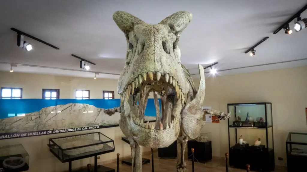 Parque Cretácico dinosaur skeleton replica