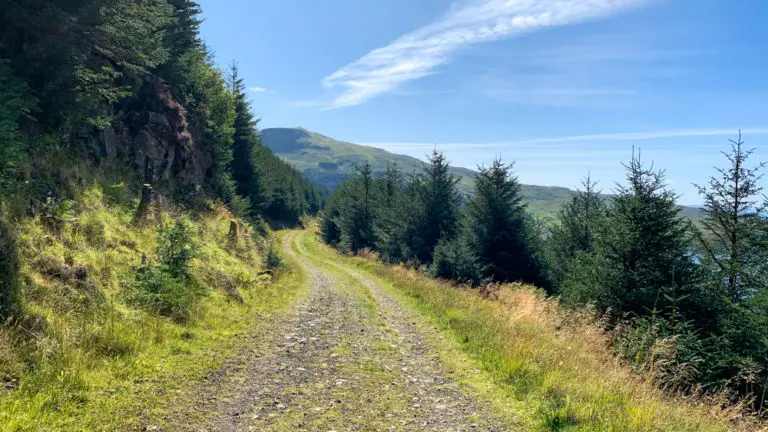 Forested trail at Loch Eynort, Isle of Skye 