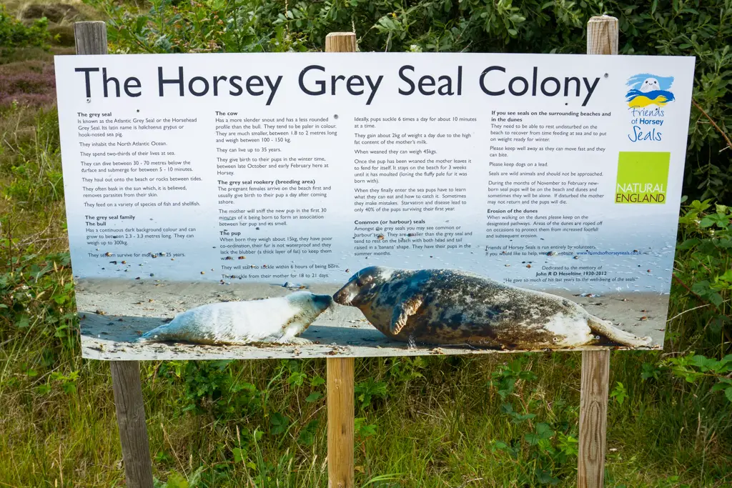 Horsey seals sign