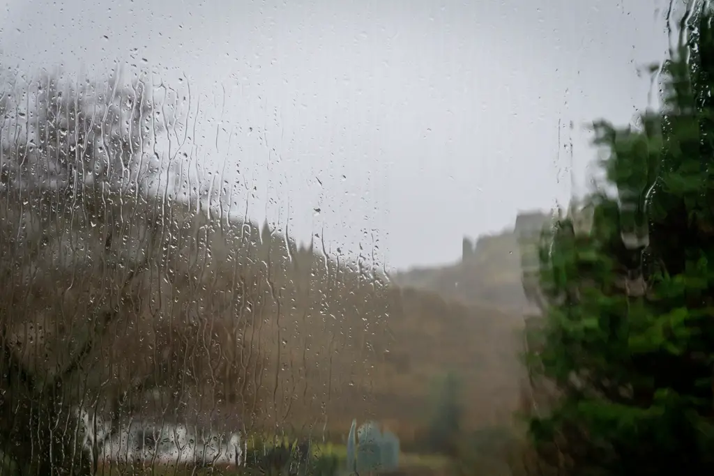 Highland scenery through a rainy window. 