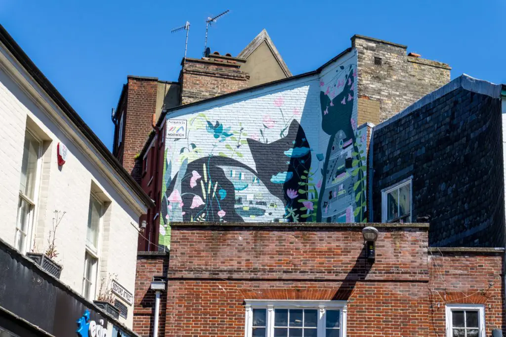Cat mural in Norwich by Ella Goodwin