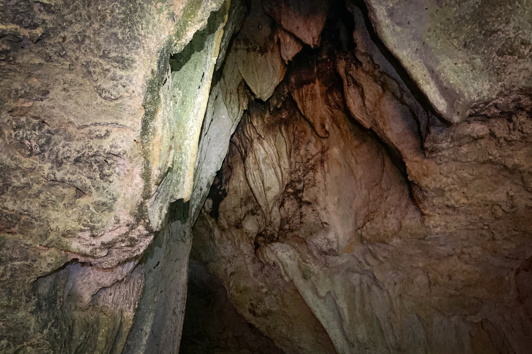nivida bat cave tour