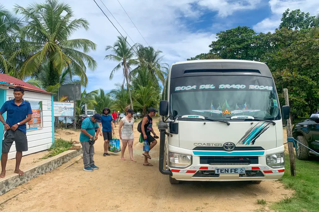 Bus to starfish beach